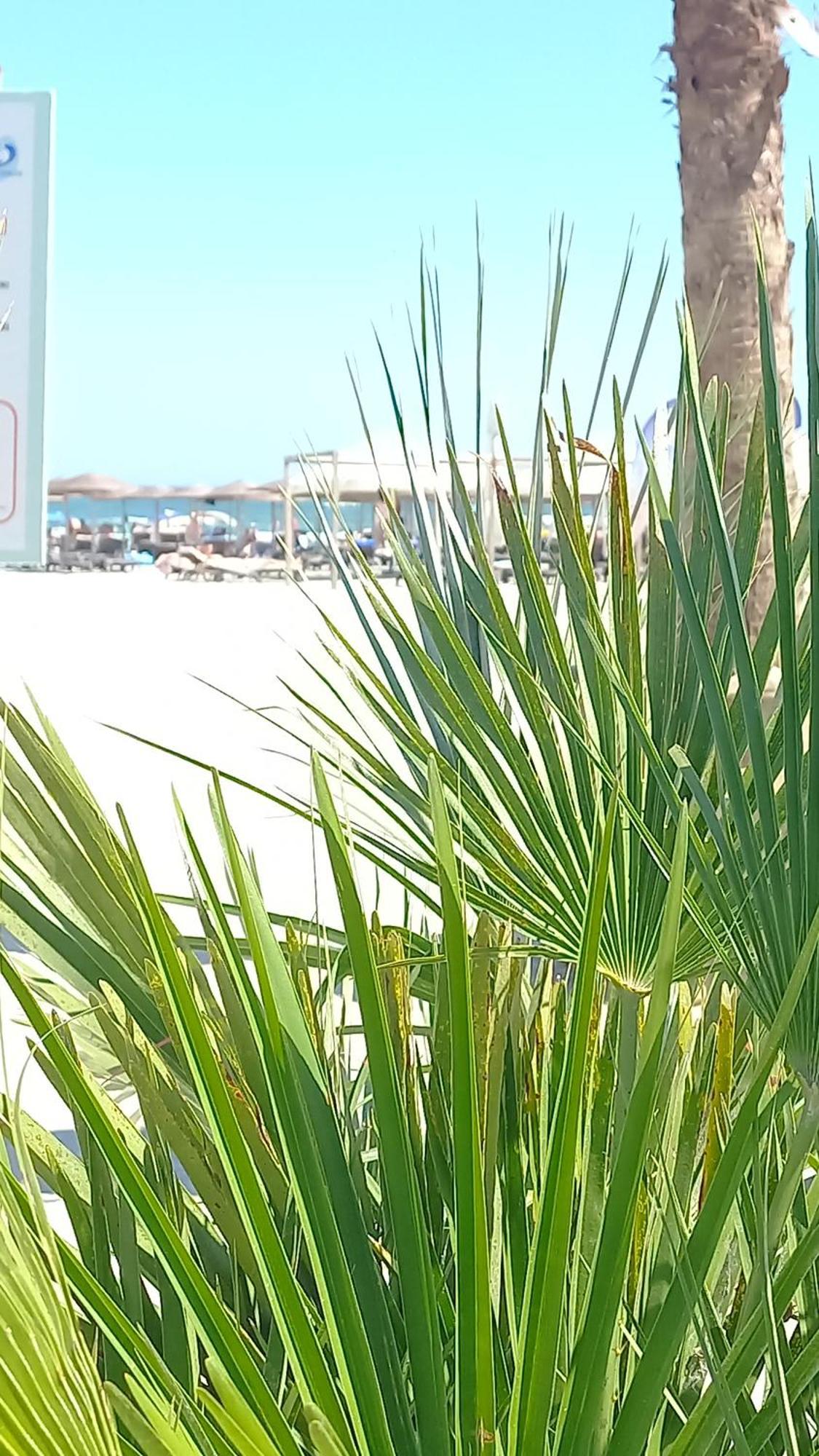 Luxury Promenada Apartment - Frontal Beachfront Mamaia Nord Нэводари Экстерьер фото